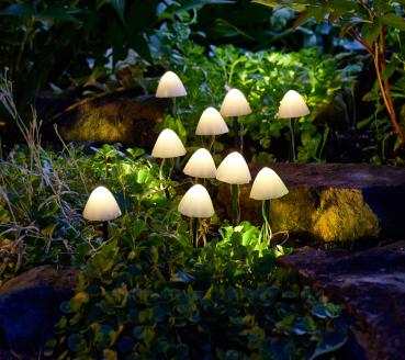 Preview: Solarlicht-Pilze "LumiShrooms" - Solarleuchte mit 10 Pilzen zum Stecken (20 cm)